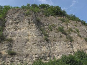 LRT 8210 - Kalkfelsen mit Felsspaltenvegetation