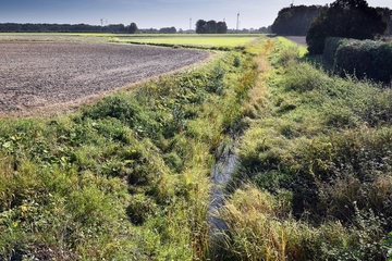 Der Ackerschlag links befindet sich in Nordrhein-Westfalen.