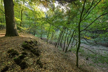 Ehemalige Sandgrube am eiszeitlichen Flintenberg.