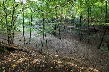 Ehemalige Sandgrube am eiszeitlichen Flintenberg.