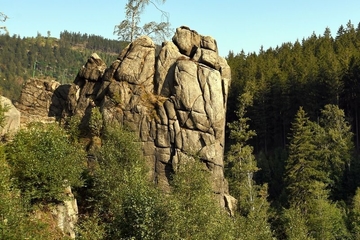 Adlerklippe - LRT 8220 - Silikatfelsen mit Felsspaltenvegetation