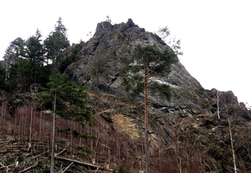 Rabenklippe - LRT 8210 - Kalkfelsen mit Felsspaltenvegetation