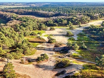 Luftbild der Binnendünenlandschaft Blickrichtung Osten