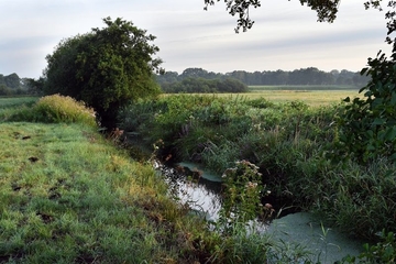 Der Poggenpohls Moor Wasserzug. Ein Bachlauf im Grünland.