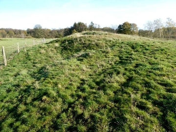 LRT 2330 - Offene Grasflächen mit Silbergras und Straußgras auf Binnendünen in Ausprägung mit dichtem Gras- und Moosbewuchs