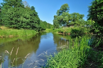 Einmündung des Allerkanal in die Aller an der Grenze zu FFH-Gebiet 090