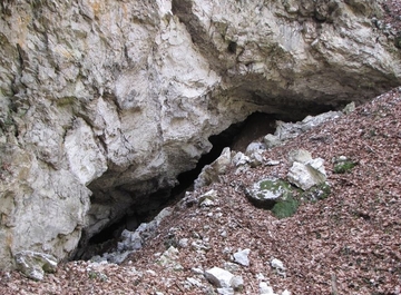 LRT 8310 - Nicht touristisch erschlossene Höhle im Gips des Kleinen Trogstein