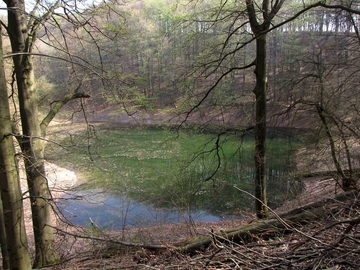 Erdfallweiher Weißensee als LRT 3140 - Nährstoffarme bis mäßig nährstoffreiche kalkhaltige Stillgewässer mit Armleuchteralgen