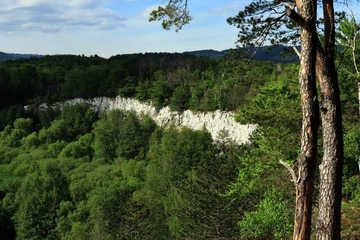 Imposante Gipswand des Sachsensteins bei Bad Sachsa