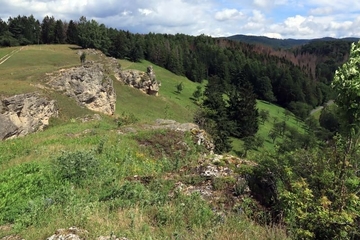 Geländeübersicht Steinberg bei Scharzfeld