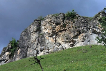 Steinberg bei Scharzfeld Zechsteindolomit Felsen