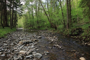 Sieber als Naturnaher Berglandbach mit Blocksubstrat