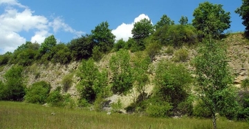 Naturnah entwickelte Steinbruchwände und Schutthalden