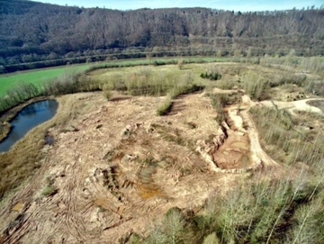 NABU-Projektfläche und Schilfgürtel an Teich