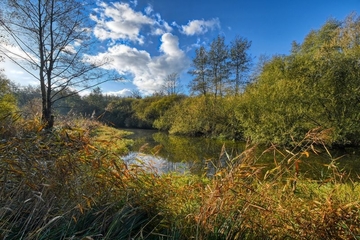 Brögberner Teiche