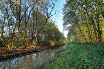 Lingener Mühlenbach