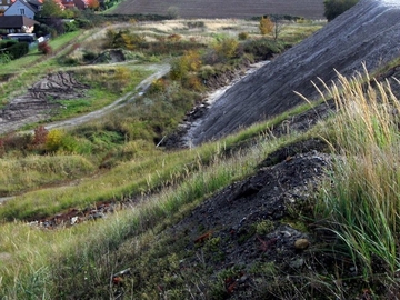 Nordteil des FFH-Gebiets mit Ruderalvegetation