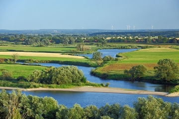 Elbtalaue bei Bleckede