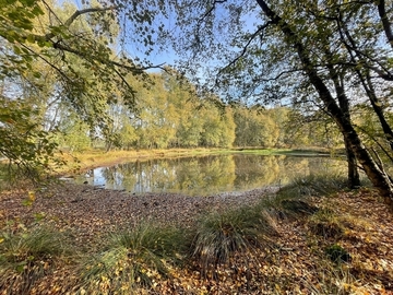 Naturschutzgebiet Hemmelter Moor