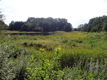 Gesamteindruck der Sandgrube