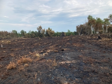 Insgesamt verbrannten vier Hektar Moorfläche, die überwiegend mit Heide bewachsen war.