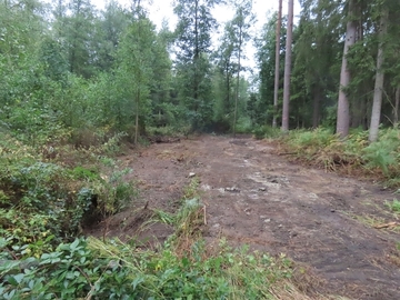 Die Bautrasse lässt noch vermuten, dass hier einst der begradigte Kucksmoorgraben floss. Doch mit der nächsten Vegetationsperiode wird diese nicht mehr erkennbar sein.