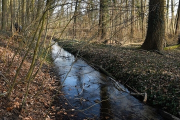 Gewässerlauf der Beeke