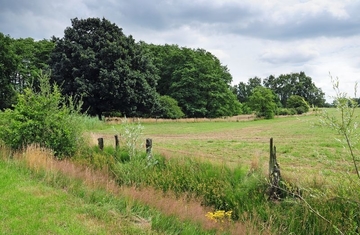 Foto aus FFH-Gebiet 308 Westerberge bei Rahden