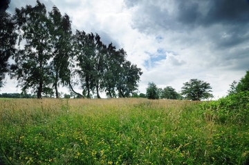 Foto aus FFH-Gebiet 308 Westerberge bei Rahden