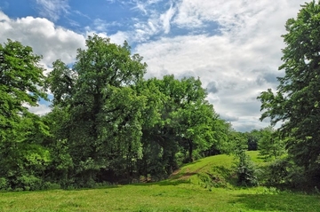 Foto aus FFH-Gebiet 308 Westerberge bei Rahden