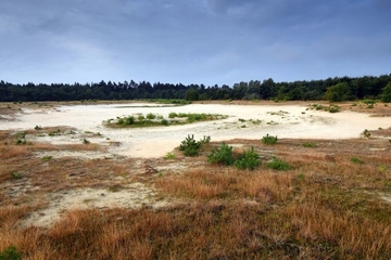 Binnendünenlandschaft