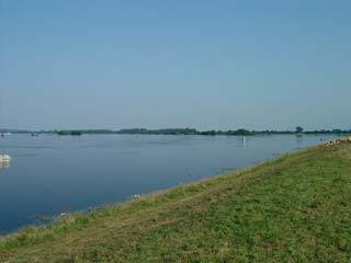 Die Elbe bei Hohnstorf