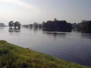 Die Elbe bei Hohnstorf