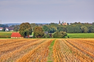 Lechtinger Esch