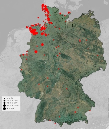 Räumliche Verbreitung aller bei ornitho.de gemeldeten „isländischen Uferschnepfen“ (Stand 02.03.2023)