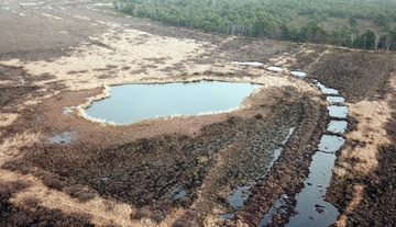 Südlich des Muswillensees im Bissendorfer Moor wurde ein mit Vegetation abgedeckter Damm aufgebaut. Dieser stabilisiert den Wasserstand im Muswillensee.