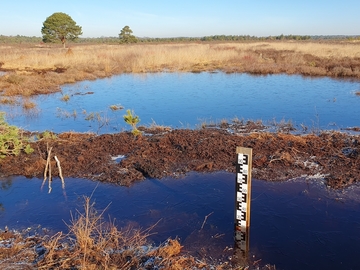 Wasserstandsmessung im Bissendorfer Moor – Hinter einem Moordamm kann die Höhe des Wasserstandes an einem Wasserpegel abgelesen werden.