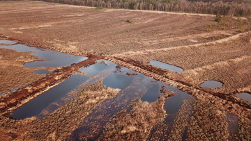 Die Moordämme im Bissendorfer Moor halten das Regenwasser zurück. Die Dämme sind entsprechend der Geländehöhen in „Polder“ aufgebaut.