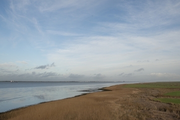 Blick vom alten Leuchtturm Balje auf die Unterelbe mit unterschiedlich genutztem Vorland