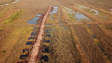 Der Wasserabfluss wird durch die Moordämme verhindert.
