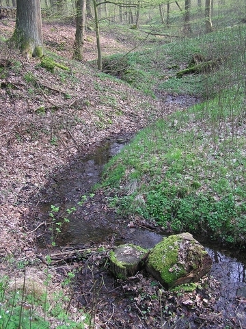 Naturnaher Bachlauf