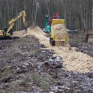 Dumper im Bissendorfer Moor