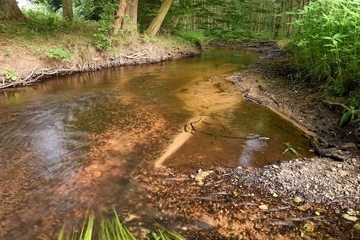 Kiesgeprägter Bach in der Südheide (Lachte)