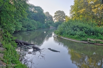 Sandgeprägter Tieflandfluss in Westniedersachsen (Hunte)
