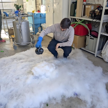 Beim Experiment mit flüssigem Stickstoff im Bereich Strahlenschutz wurde eine Rose eingefroren (Foto: NLWKN).