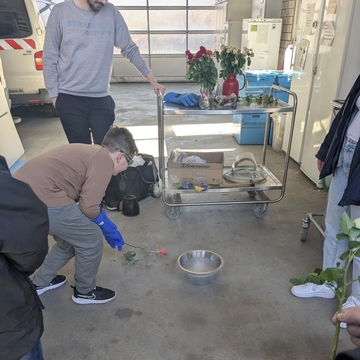 Die Rose konnte anschließend vom Nachwuchswissenschaftler auf dem Boden zerschlagen werden - Experiment gelungen (Foto: NLWKN).