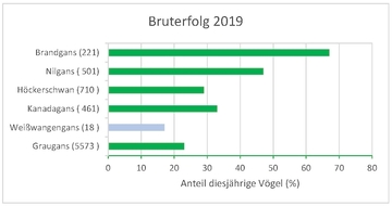 Bruterfolg 2019