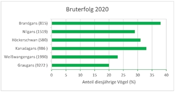 Bruterfolg 2020