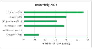 Bruterfolg 2021