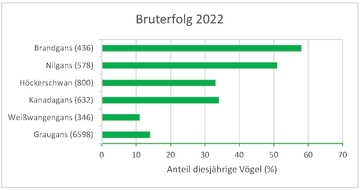 Bruterfolg 2022